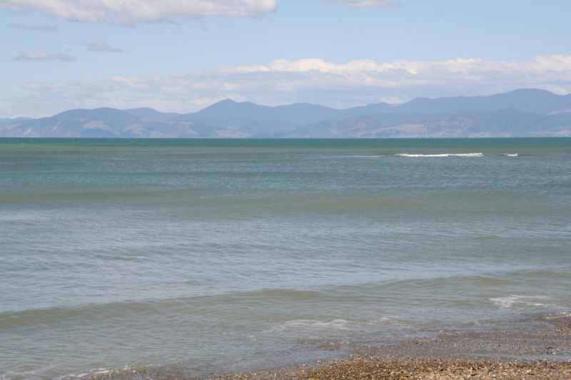 Nieuw-Zeeland 2011 - 0985